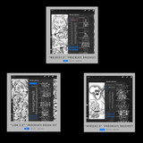 Animal BrushSet bundle